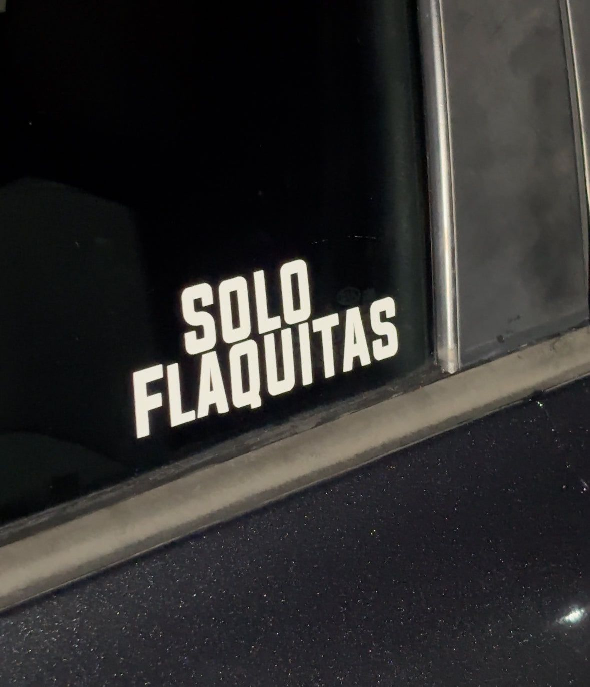 Solo flaquitas stickers
