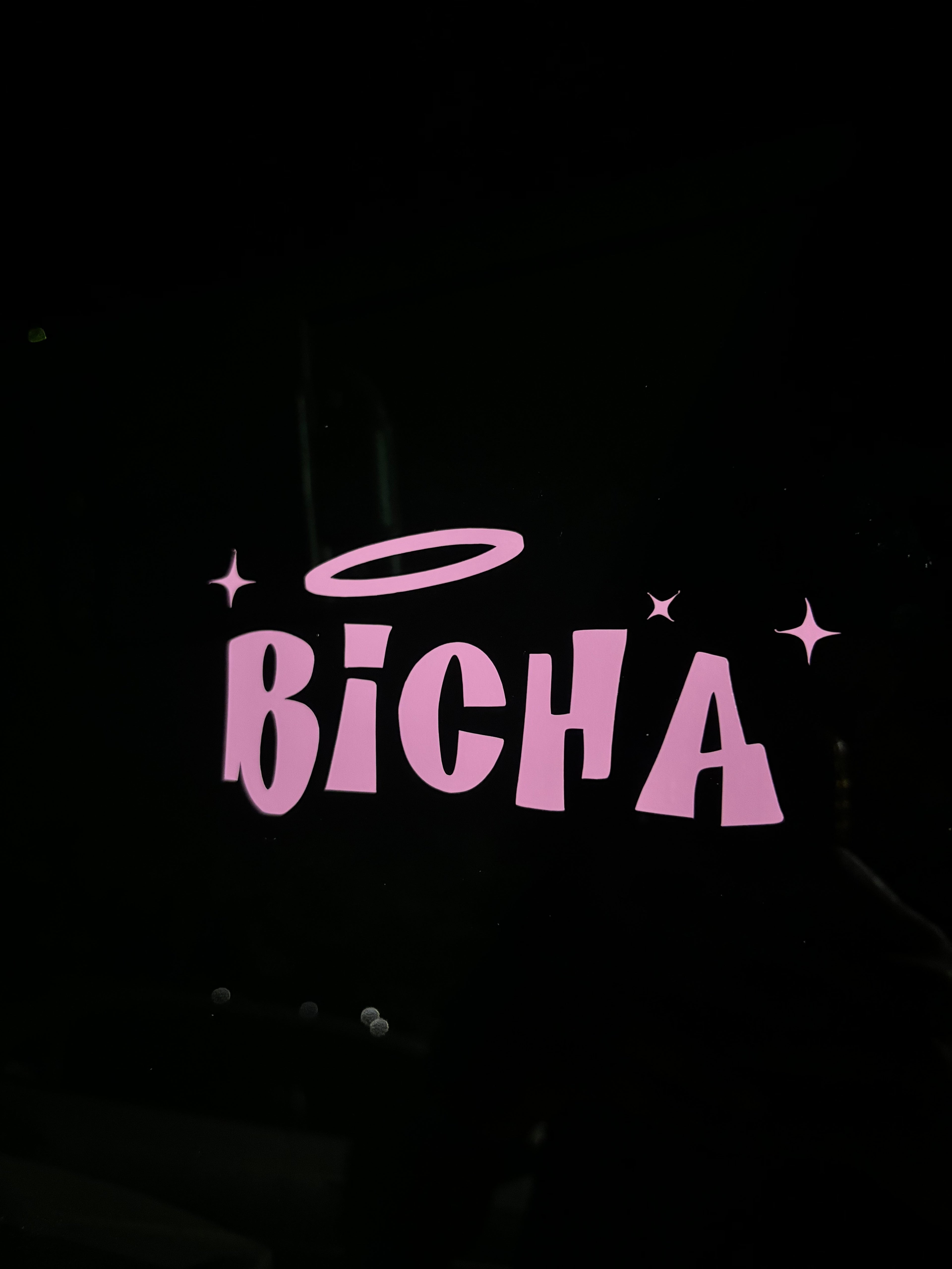 Bicha😒